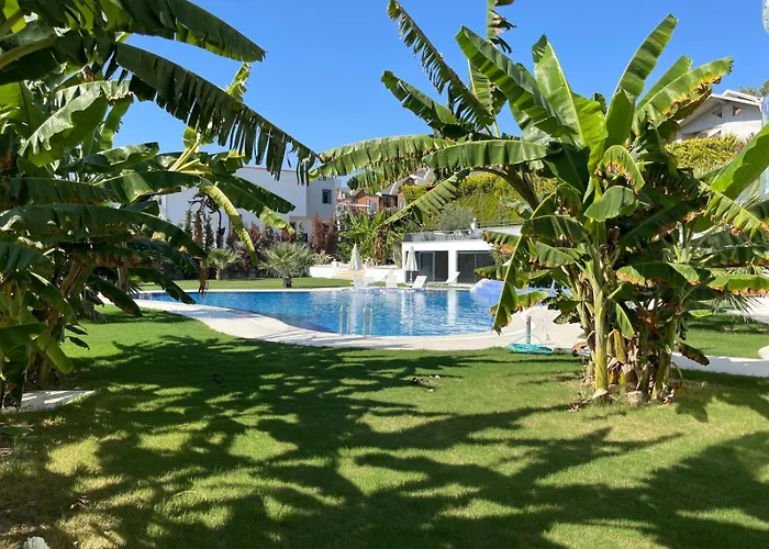 Yalcin Poolfloor